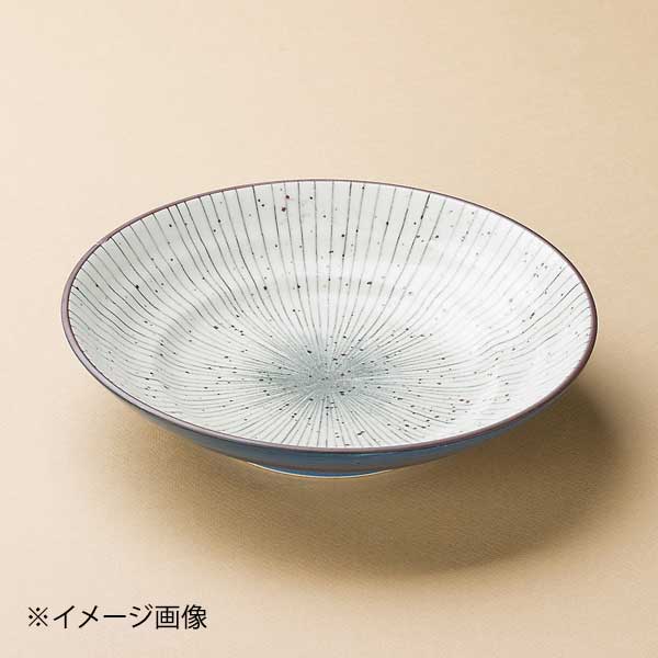 ●サイズ・容量:22.6×5cm●重量:572g●カタログコード:37317-100●サイズ・容量:22.6×5cm●重量:572g●カタログコード:37317-100