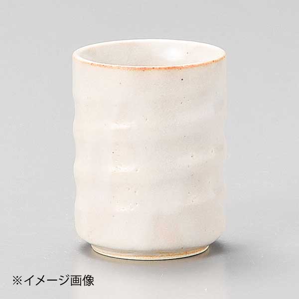 白志野小湯呑