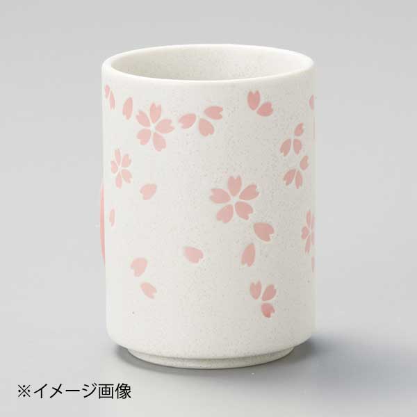 ●サイズ・容量:7.3×10cm・300cc●重量:244g●カタログコード:43423-310
