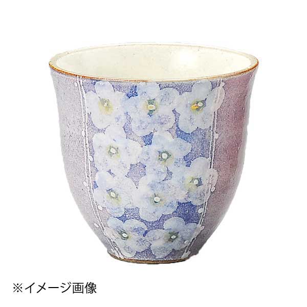 ●サイズ・容量:8.5×8.7cm・250cc●重量:179g●カタログコード:43713-510