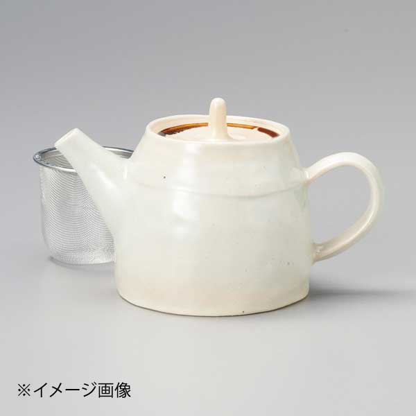 ●サイズ・容量:7.3×8.5cm・500cc●カタログコード:46007-510