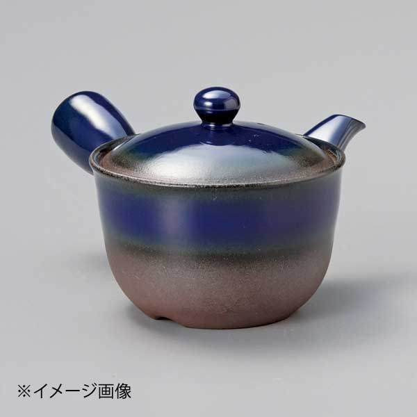 万古急須2.0ワン形ナマコ巻(おーばる網)(萬古焼)