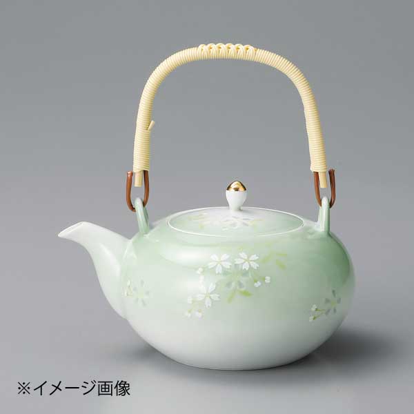 ●サイズ・容量:13×10cm・500cc●カタログコード:45104-730