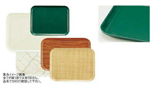 CAMBRO(キャンブロ) カムトレー(FRP) シャーウッドグリーン 1014