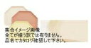 キャンブロ社 【業務用】 キャンブロトラペゾイドトレー1418TR メローアイボリー <ETL012MI>