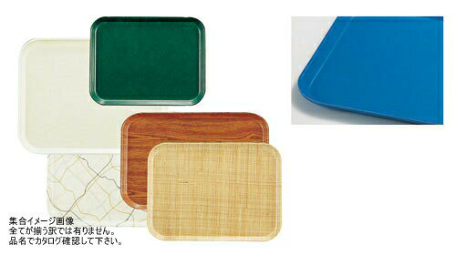 ֥ ȥ쥤 ۥ꥾֥롼 1520(105)