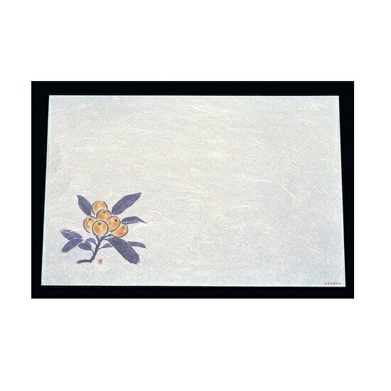 尺三 懐石まっと 抗菌遠赤和紙(100枚入)びわ WS-17