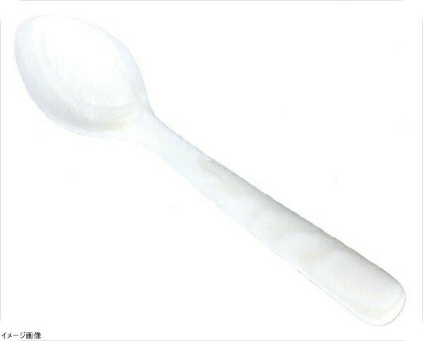 シェル 白貝スプーン（S） SH－S1