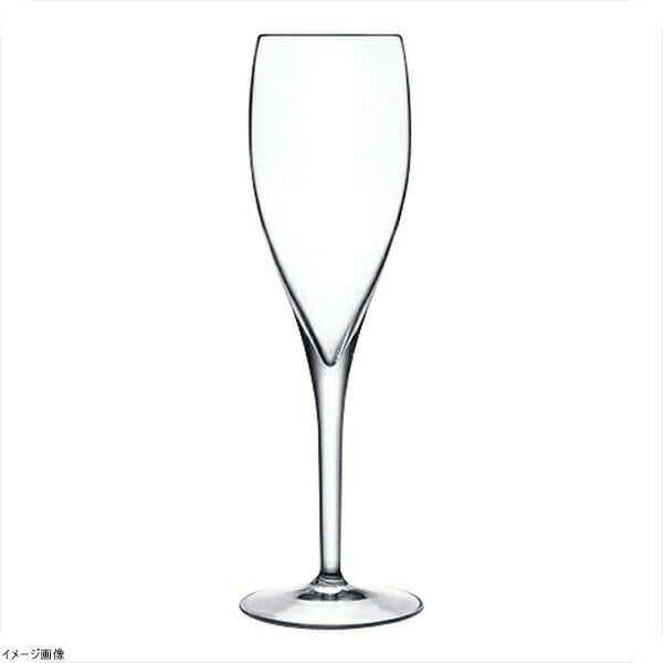 �ɥ꡼�� �ե롼�ȡ�6������ 10317��02