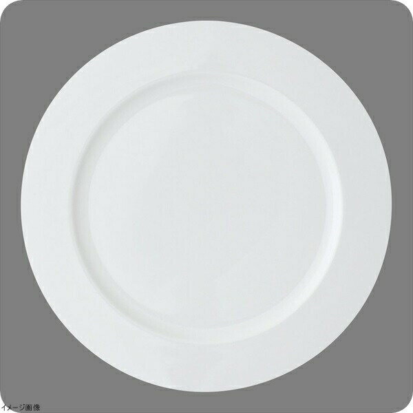 オーソドックス リムプレート27．5cm 9610−1027J