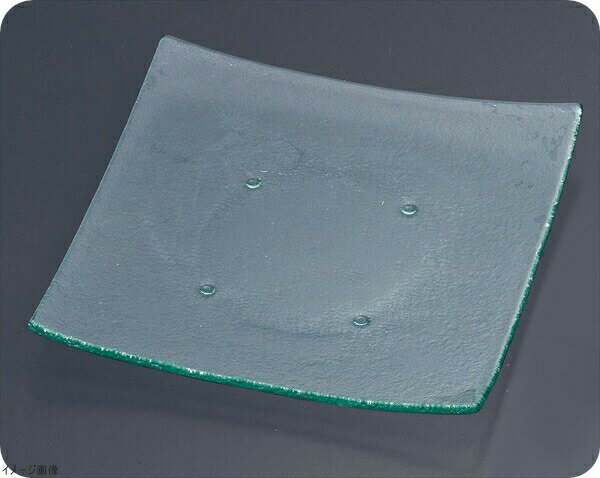 タイガーグラス スクエアプレート310 161−193−00 クリア