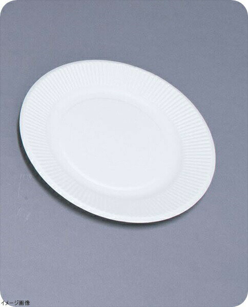 スタンダードプレート（100枚入） No.8 181923