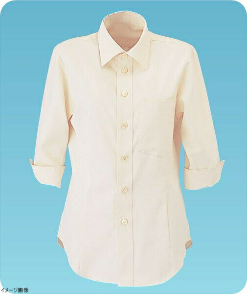 ポリエステル75%+綿25%/サラクール●透け防止・制電・UVカットメーカー品番ET-5732 サイズ S 首囲(cm)38 着丈(cm)66 肩巾(cm)40 胸囲(cm)97