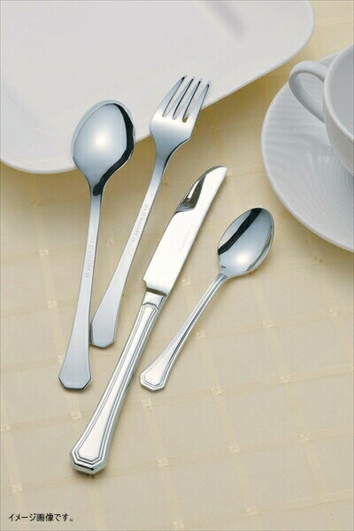 SA18-8 ハーモニー 角アイススプーン