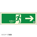 避難口誘導標識ステッカー(中輝度蓄光式) TSN801
