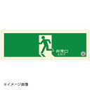 避難口誘導標識ステッカー(中輝度蓄光式) TSN804