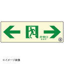 通路誘導標識ステッカー(中輝度蓄光式) TSN903