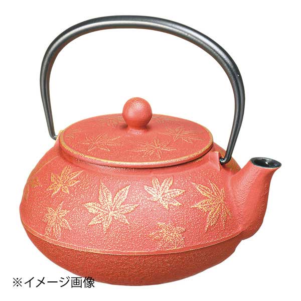 ●メーカー品番:45664●幅×奥行×高さ(mm):125×105×120(ツル含む)●質量(g):約700●カラー:金／赤茶●容量(ml):320(満水)●材質:鋳鉄(内面・蓋裏ホーロー加工)●付属品:茶こし●原産国:日本●安らぎのひとときを、趣き深く上品に彩る南部鐵器の急須。茶こし付き・内面ホーロー加工してあります。●お茶をおいしく淹れられるお湯の温度をそのままキープ、●保温性に優れた南部鐵器の急須は使い勝手がいいと人気です。●その秘密は、内部に施したホーロー加工。水分が残っていても錆付かず、お手入れもとっても簡単。●モダンなデザインやカラーもいろいろ取り揃えていますので、●テーブルウェアとのコーディネートを考えるのも楽しいかもしれません。●カタログコード:9-0870-1302●メーカー品番:45664●幅×奥行×高さ(mm):125×105×120(ツル含む)●質量(g):約700●カラー:金／赤茶●容量(ml):320(満水)●材質:鋳鉄(内面・蓋裏ホーロー加工)●付属品:茶こし●原産国:日本●安らぎのひとときを、趣き深く上品に彩る南部鐵器の急須。茶こし付き・内面ホーロー加工してあります。●お茶をおいしく淹れられるお湯の温度をそのままキープ、●保温性に優れた南部鐵器の急須は使い勝手がいいと人気です。●その秘密は、内部に施したホーロー加工。水分が残っていても錆付かず、お手入れもとっても簡単。●モダンなデザインやカラーもいろいろ取り揃えていますので、●テーブルウェアとのコーディネートを考えるのも楽しいかもしれません。●カタログコード:9-0870-1302
