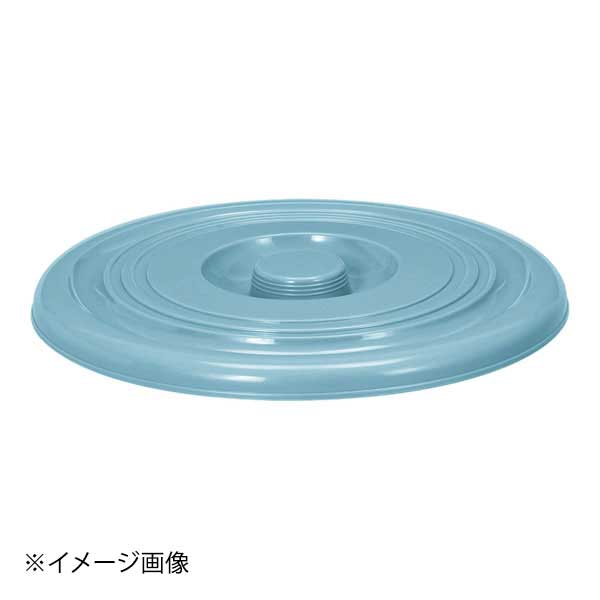 ●メーカー品番:B13●直径(mm):305●カラー:ブルー●材質:ポリプロピレン●耐熱温度(℃):124●カタログコード:9-1421-1108●メーカー品番:B13●直径(mm):305●カラー:ブルー●材質:ポリプロピレン●耐熱温度(℃):124●カタログコード:9-1421-1108