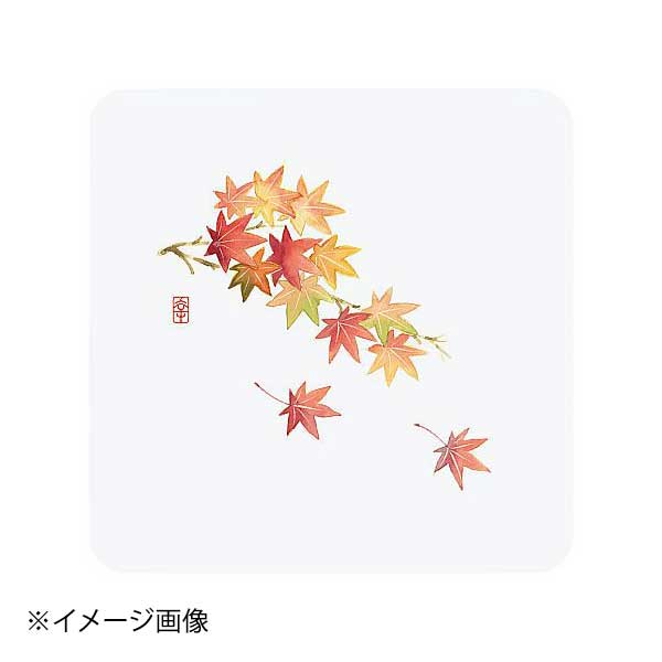 ƥå  (50) WCO-K7N ߤ