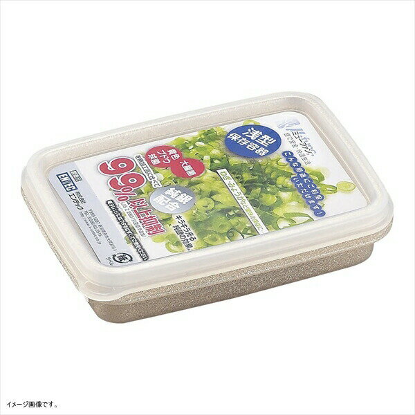 Condiments Container - ミューファンウェア 角型保存容器 浅型 M-10