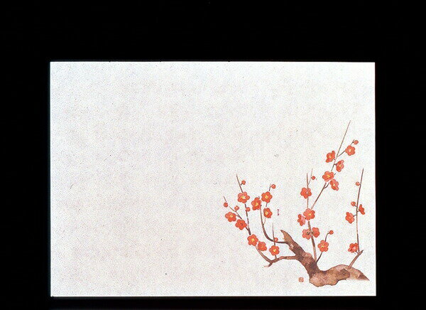 ヤマコー 遠赤保鮮紙 小 (100枚入) 梅