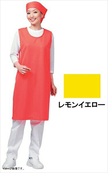 アイメッシュエプロン ノースリーブタイプ E5100-33G レモンイエロー