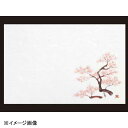 若泉漆器 桜2 尺3寸長手和紙敷マット(100枚単位)(3月~4月) B-26-41