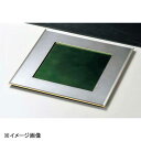 若泉漆器 尺1寸角懐石プレート グリーン透き/銀メタ渕金 B-14-50