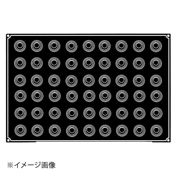 PX031 バーレンテッシ 24ヶ取
