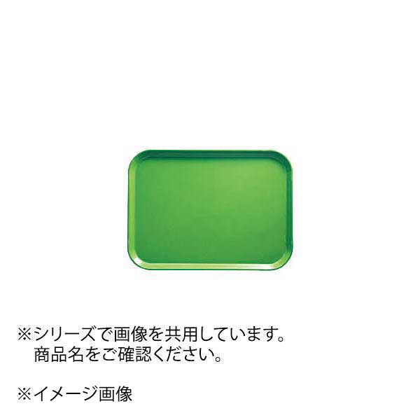 ENDO 遠藤孝商店 White Thumb ホワイトサム CAMBRO カムトレー ライムエイド（113） 1216