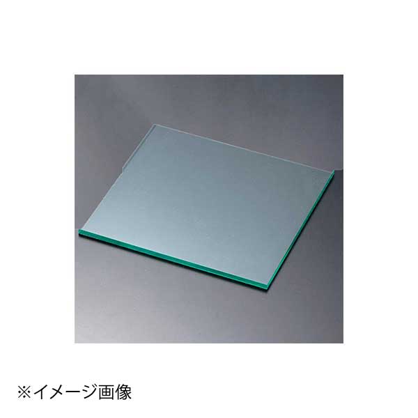 ENDO 遠藤孝商店 White Thumb ホワイトサム アクリルディスプレイステージ角 グリ...