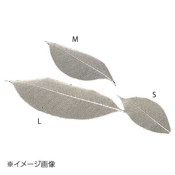 ヤマコー 用美 すかし木の葉(S)(100枚入)...の商品画像