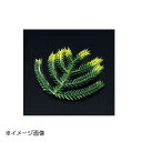 ヤマコー 用美 たちかずら飾り(大) (200ヶ入) 25888