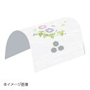 ヤマコー 用美 ドーム掛紙 朝顔 (100枚入) 64496(3)