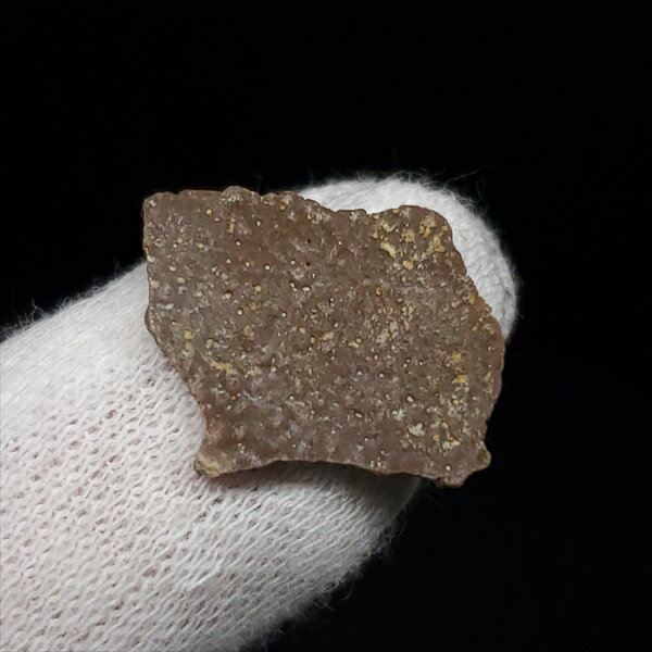 【送料無料】【恐竜/化石/卵】恐竜 卵 化石 本物 フランス産 15.22mm ケース付き プレゼント ギフト e108