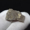 【送料無料】【恐竜/化石/卵】恐竜 卵 化石 本物 フランス産 19.88mm ケース付き プレゼント ギフト e127