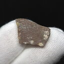 【送料無料】【恐竜/化石/卵】恐竜 卵 化石 本物 フランス産 18.50mm ケース付き プレゼント ギフト e130