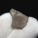 【送料無料】【恐竜/化石/卵】恐竜 卵 化石 本物 フランス産 16.40mm ケース付き プレゼント ギフト e133