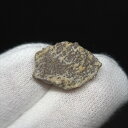 【送料無料】【恐竜/化石/卵】恐竜 卵 化石 本物 フランス産 16.90mm ケース付き プレゼント ギフト e134
