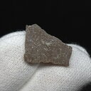 【送料無料】【恐竜/化石/卵】恐竜 卵 化石 本物 フランス産 16.57mm ケース付き プレゼント ギフト e138