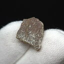【送料無料】【恐竜/化石/卵】恐竜 卵 化石 本物 フランス産 13.45mm ケース付き プレゼント ギフト e139