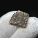 【送料無料】【恐竜/化石/卵】恐竜 卵 化石 本物 フランス産 13.81mm ケース付き プレゼント ギフト e140