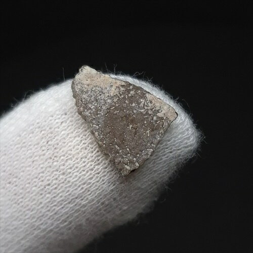 【送料無料】【恐竜/化石/卵】恐竜 卵 化石 本物 フランス産 12.74mm ケース付き プレゼント ギフト e150