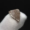 【送料無料】【恐竜/化石/卵】恐竜 卵 化石 本物 フランス産 14.63mm ケース付き プレゼント ギフト e151