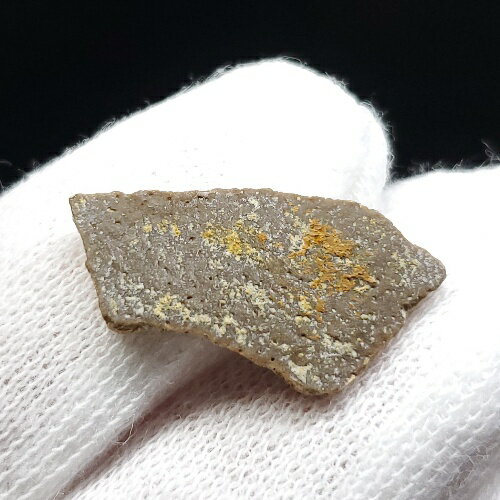 【送料無料】【恐竜/化石/卵】恐竜 卵 化石 本物 フランス産 21.91mm ケース付き プレゼン ...