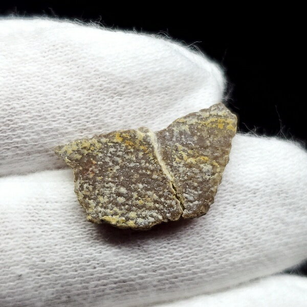 【送料無料】【恐竜/化石/卵】恐竜 卵 化石 本物 フランス産 18.74mm ケース付き プレゼント ギフト e43