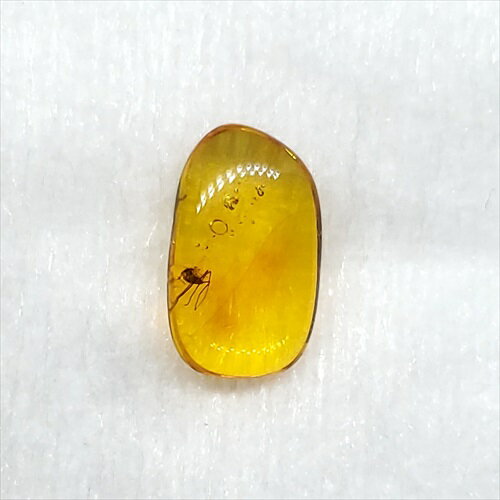 ■虫入り琥珀〈Insects in Amber〉 【化石の大きさ】11×7×3mm 【虫の大きさ】約2mm（一番長い部分） 【化石産地】Balttic Sea バルト海沿岸沿 【英名】Insects in Amber 【時代】古第三紀・漸新...