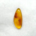 ■虫入り琥珀〈Insects in Amber〉 【化石の大きさ】21.39×9.22×4.23mm 【虫の大きさ】約2mm（一番長い部分） 【化石産地】Balttic Sea バルト海沿岸沿 【英名】Insects in Amber 【時代】古第三紀・漸新世（Oligocene）約3,000万年前 【ケースの大きさ】40×40mm 太古の虫を閉じ込めた琥珀 琥珀は木の樹脂の化石。木の樹脂（ヤニ）が地中に昆虫や植物などを取りこんだまま埋没し数千万年もの時間をかけて固化し化石になることがある。ドミニカ共和国産の琥珀の多くはマメ科の植物、バルト海沿岸で産出する琥珀はマツ科の植物が起源と考えられている。太古の虫の様子が観察でき、琥珀の中でも珍重されています こちらの商品は、自身で買い付けに行き、1つ1つ選別した商品です。 この世界に一つしかない自然界からの送りものをコレクションやお子様へのプレゼントとしてお届けできれば幸いです。 ※商品は天然物の為、画像には映らない多少の小傷や欠け等がある可能性、また撮影機材やお客様の端末、環境の違いによって、現物との色合いが違う場合がございます。 ※鑑定書等はございません。 ※こちらの商品は、日本郵便（クリックポスト）にてお届けいたします。