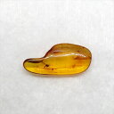 ■虫入り琥珀〈Insects in Amber〉 【化石の大きさ】19.50×9.12×3.41mm 【虫の大きさ】約1.5mm（一番長い部分） 【化石産地】Balttic Sea バルト海沿岸沿 【英名】Insects in Amber ...